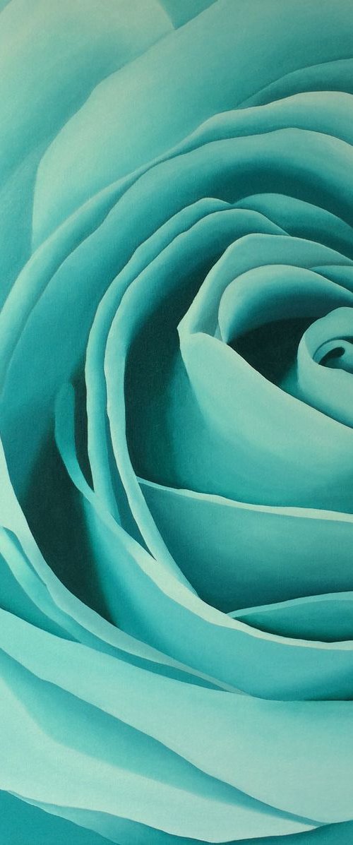 Aqua Rose by Jill Ann Harper