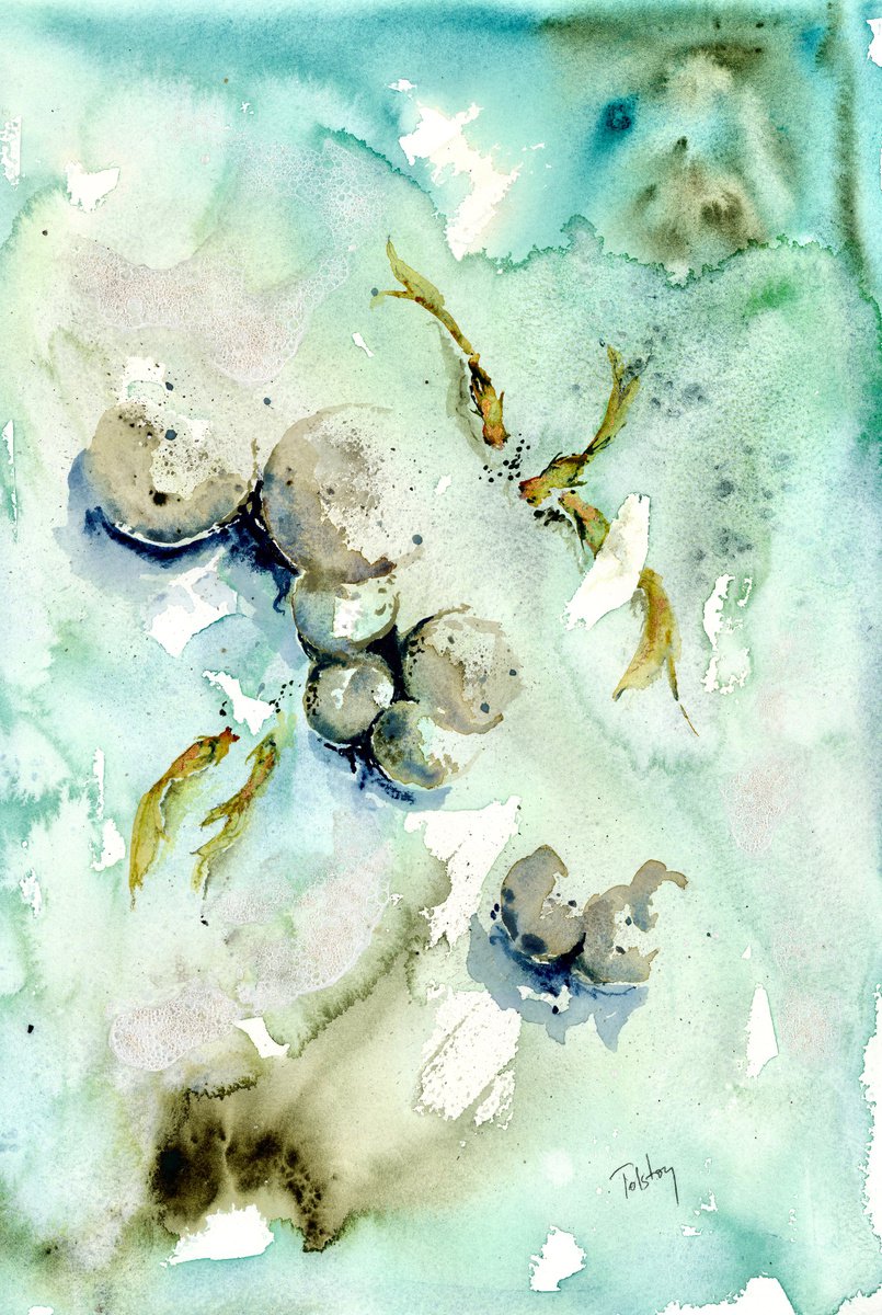 Five Koi and Rocks by Alex Tolstoy