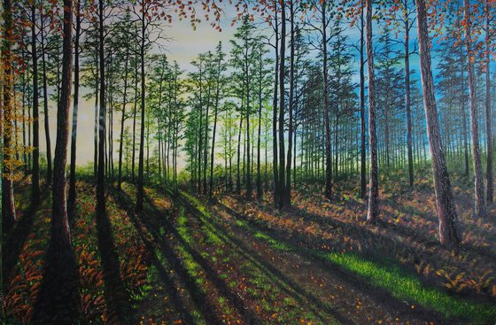 Shadows Before Dusk