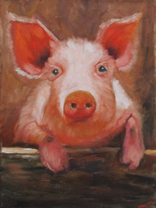 Piggy by Elena Sokolova