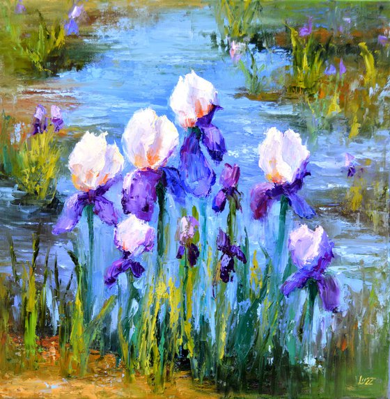 Pond with Beautiful Irises