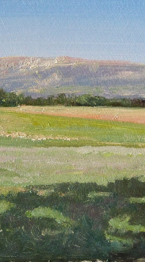 Chamsp devant la Montagne de Gache by Pascal Giroud