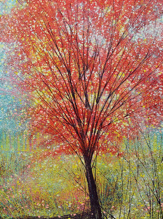 Tree In Autumn