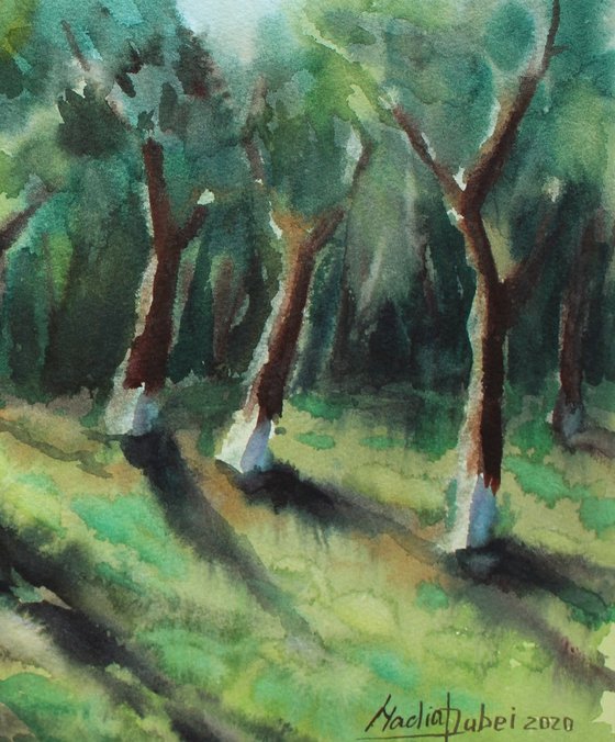 Spring garden