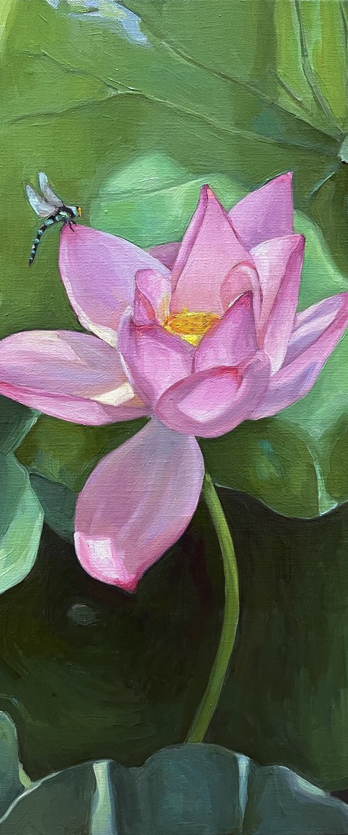 Lotus pink flower by Guzel Min
