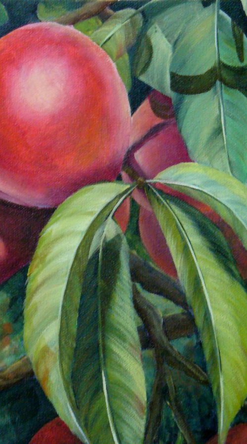 Summer Peaches by Kathye Begala