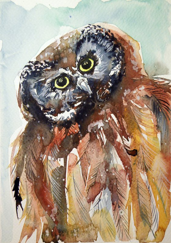 Owl
