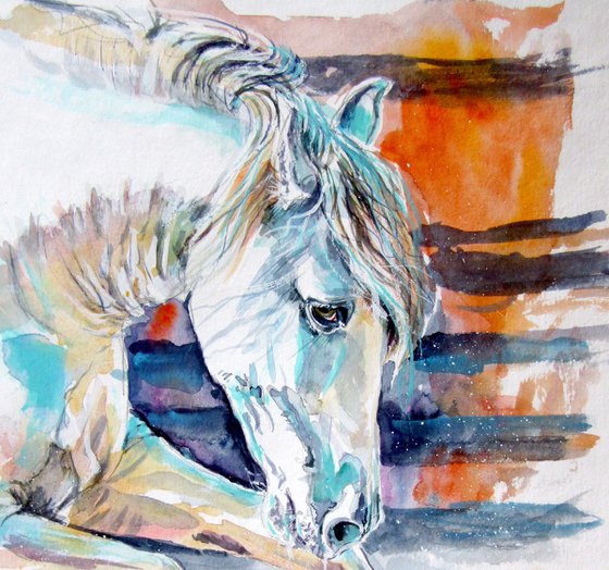Andalusian horse collection