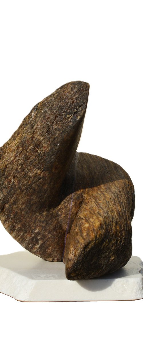 "Back Flip" by Ognyan Chitakov