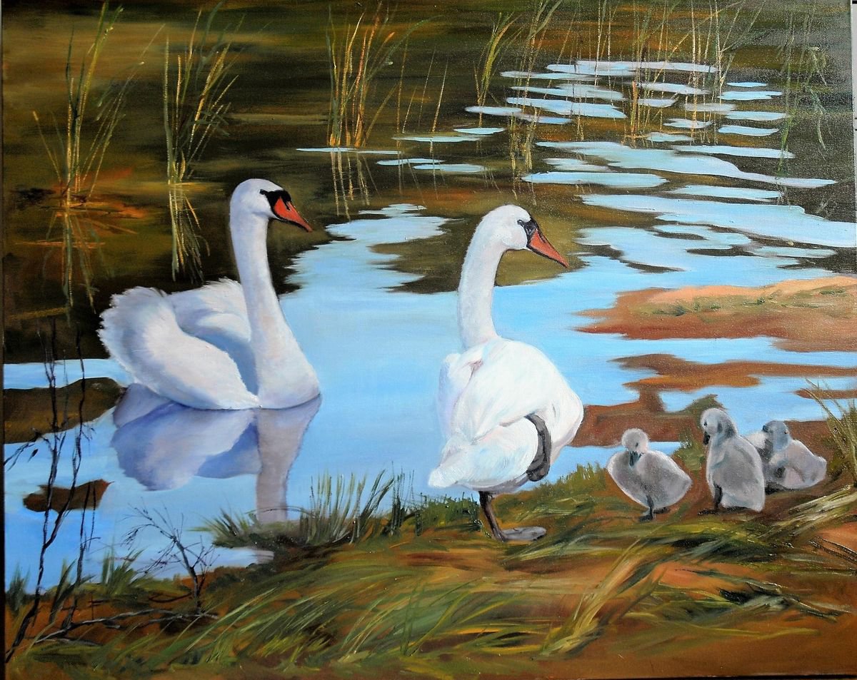 Swans on the lake by Sergej Karetnikov