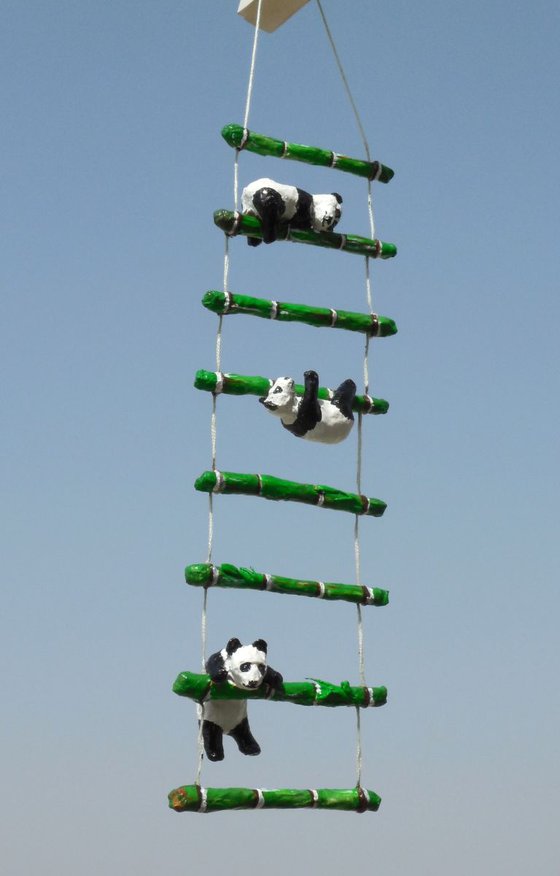 Little Giant Pandas Climbing Ladder
