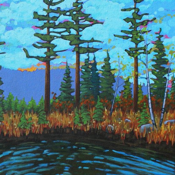 A Day in the Wilderness