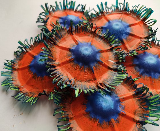 Zoanthids colony-9