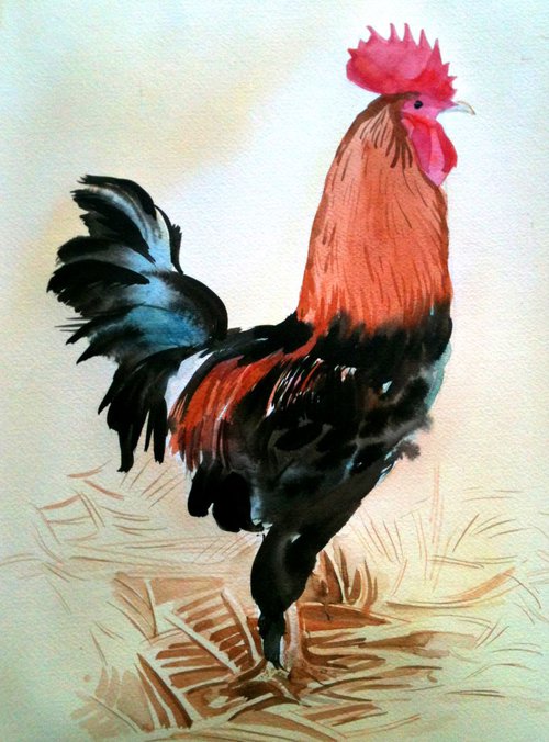 Rooster by Mary Stubberfield