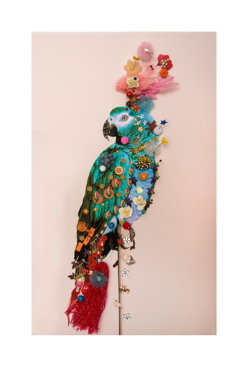 Urban And Pop Animal Photograph By B-Brown & Scheinmann, 22 X 32, P6, Original Artwork