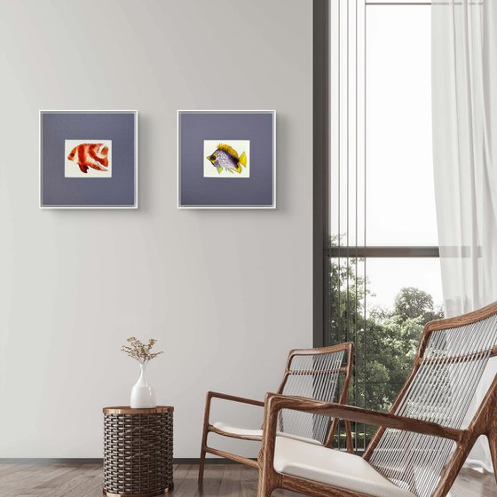Three Exotic colorful fish