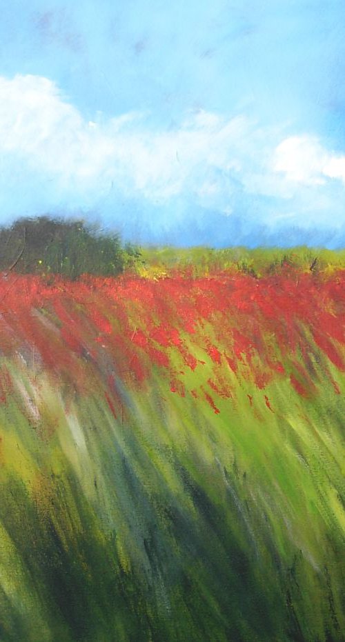Field of Poppies 4 by Jan Rippingham
