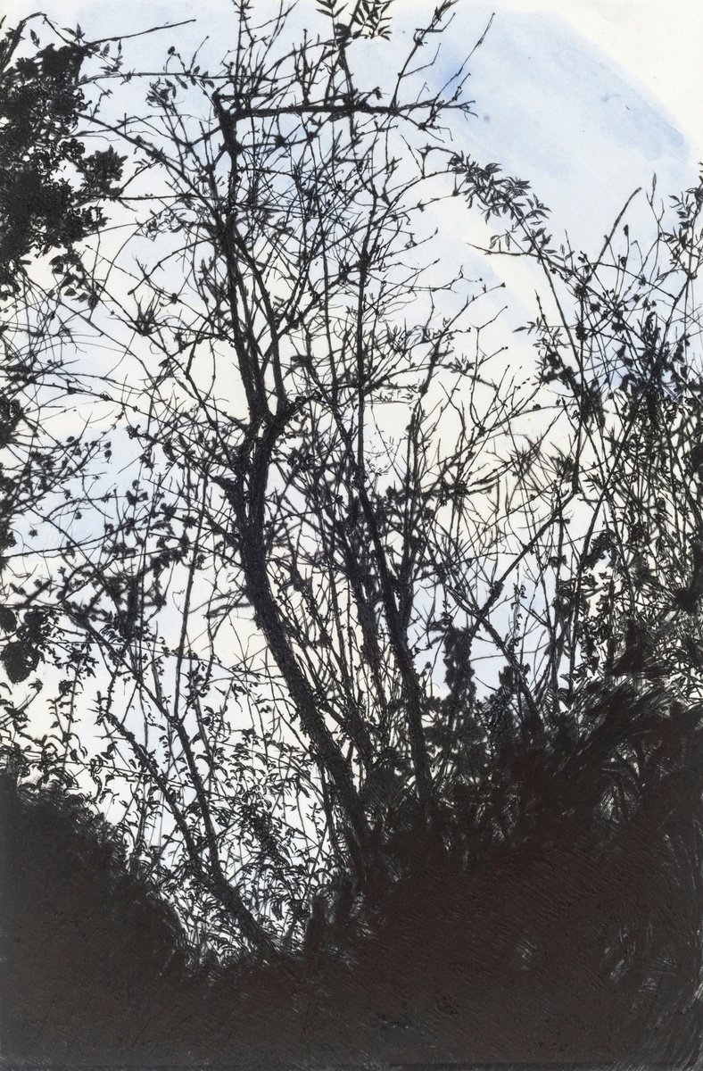 Impressionistic Landscape Etchings & Engravings By Fiona Hamilton, 18 X 25, Summerhouse Plantation, Original Artwork