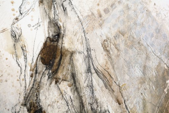Equine Nude 164t