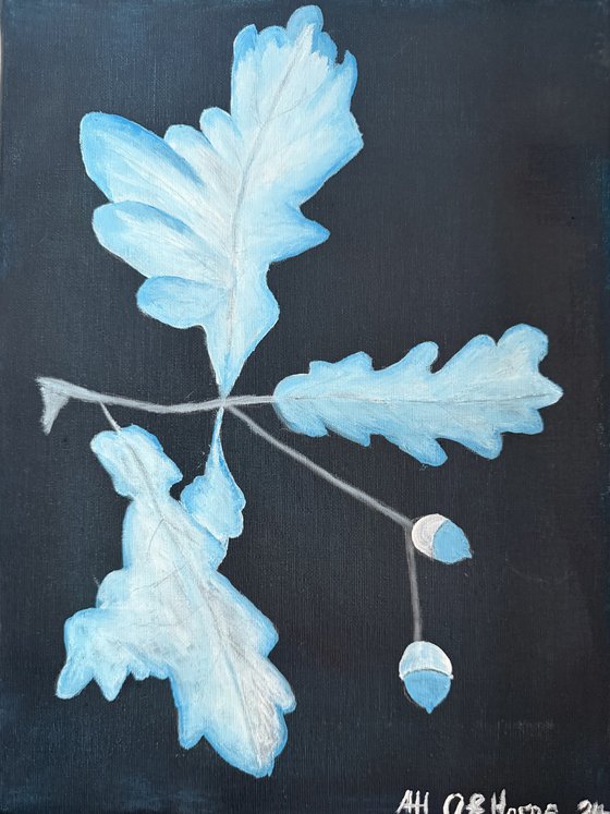Blue Acorn