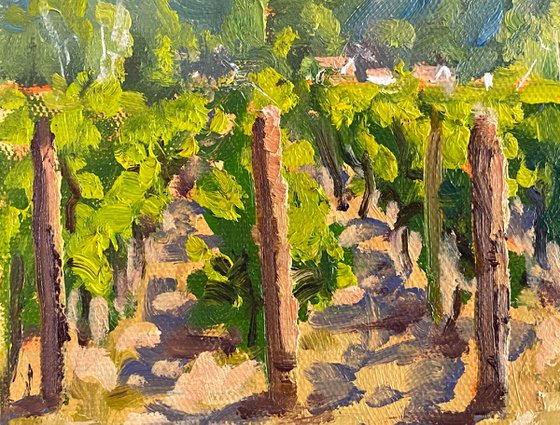 Bernardus Vineyards In Carmel Valley