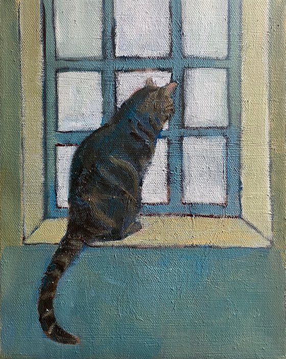 Cat in Window (Mylo)