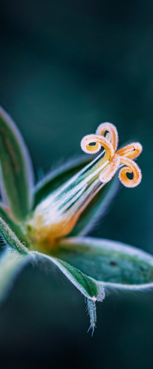 Blues by Inna Etuvgi