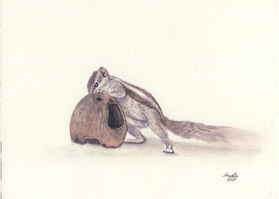 Squirrel and the coconut
