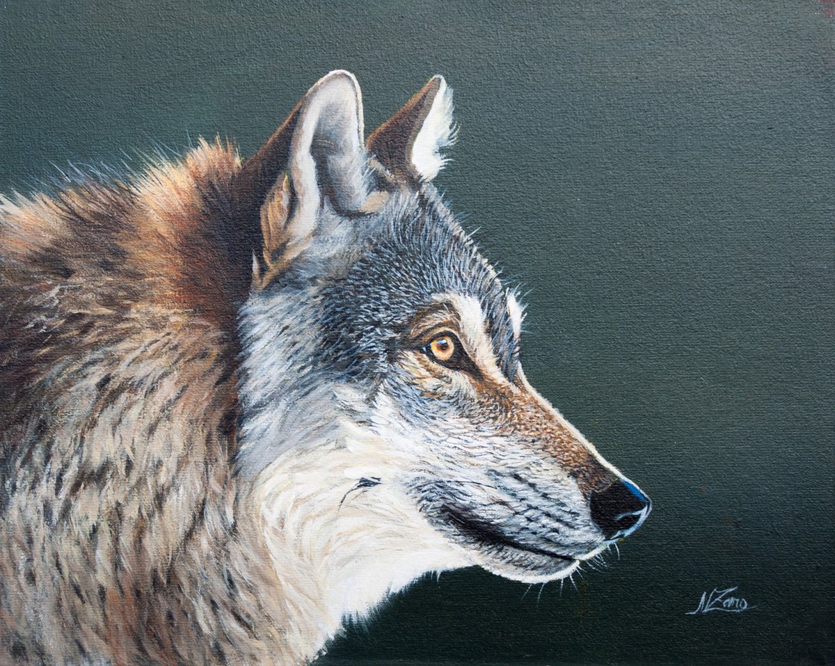 Spirit Of The Wolf By Norma Beatriz Zaro, 12 X 9, Artwork For Sale On Artfinder