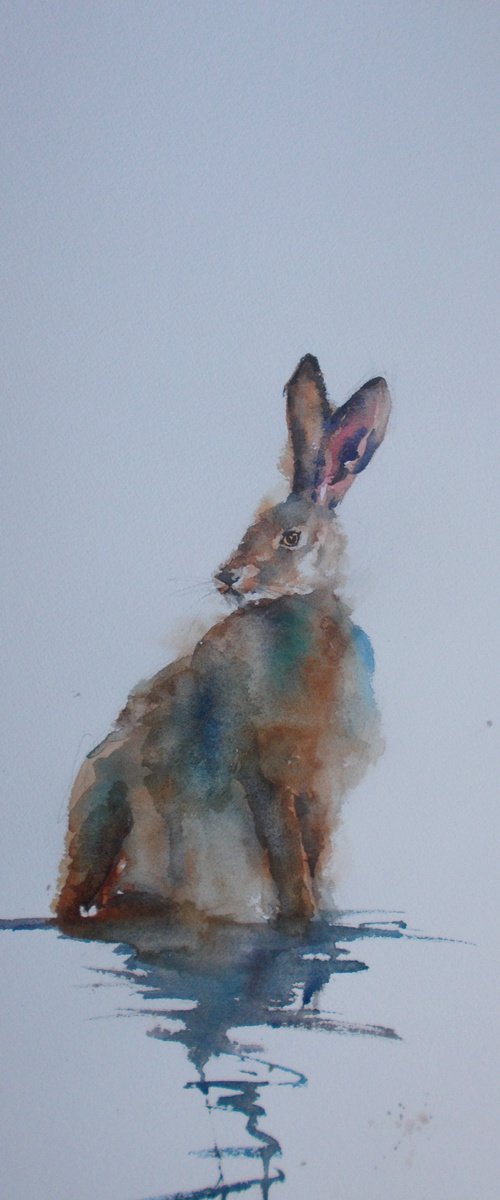 hare 2 by Giorgio Gosti