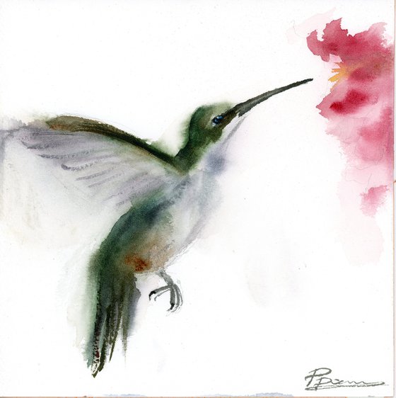 Hummingbird’s Pause