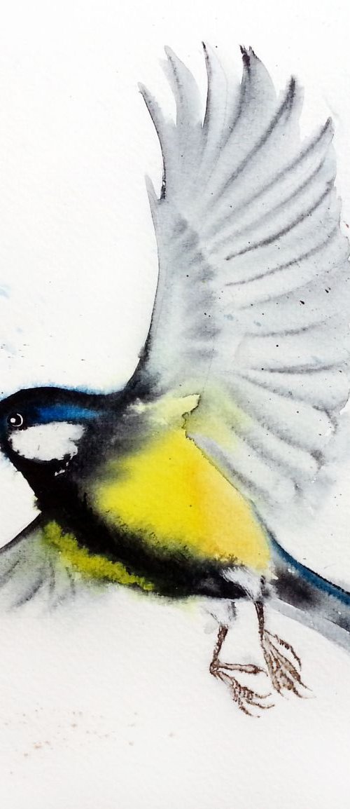 Great tit #2 - bird, birds, an by Olga Beliaeva Watercolour