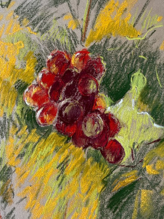 Grapes in Sunlight  plein-air