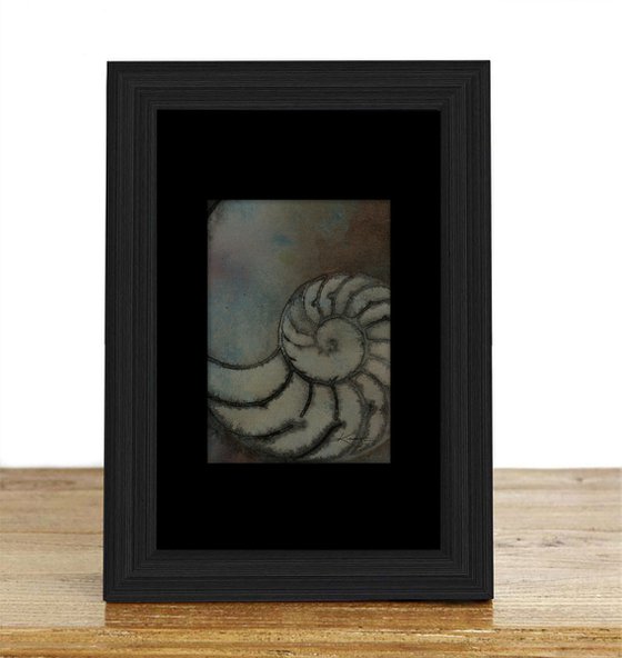 Nautilus Shell 2020-5 -  Mixed Media Sea Shell Painting by Kathy Morton Stanion