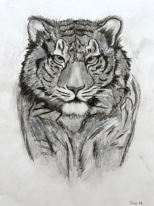 Tiger by Tina Shyfruk