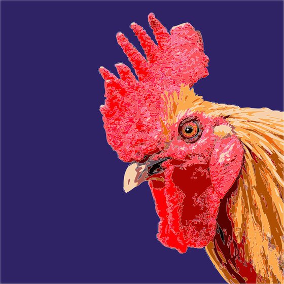 Portrait of a Cockeral