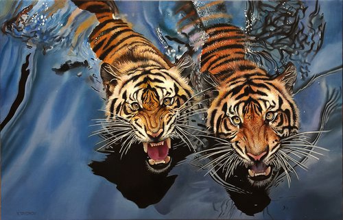 Swimming Tigers by Valeri Tsvetkov