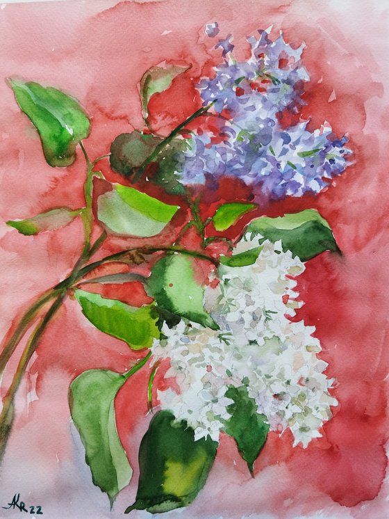 Lilac dream. Watercolor lilacs branches.