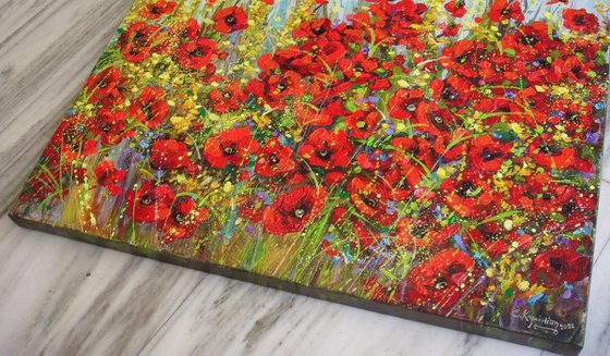 Flower Landscape "Poppies"