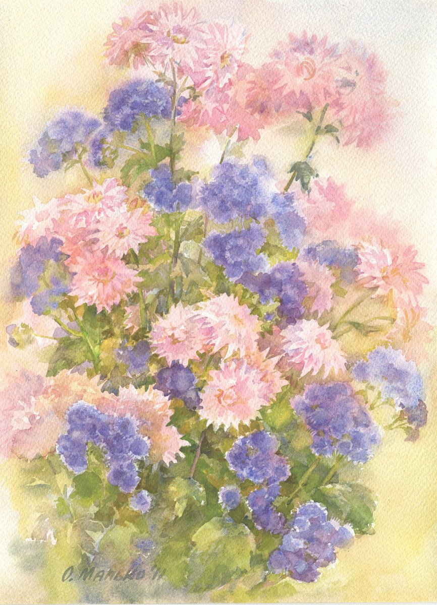 Pink and blue flowers. Chrysanthemum and ageratum / ORIGINAL watercolor 11x15in (28x38cm) by Olha Malko