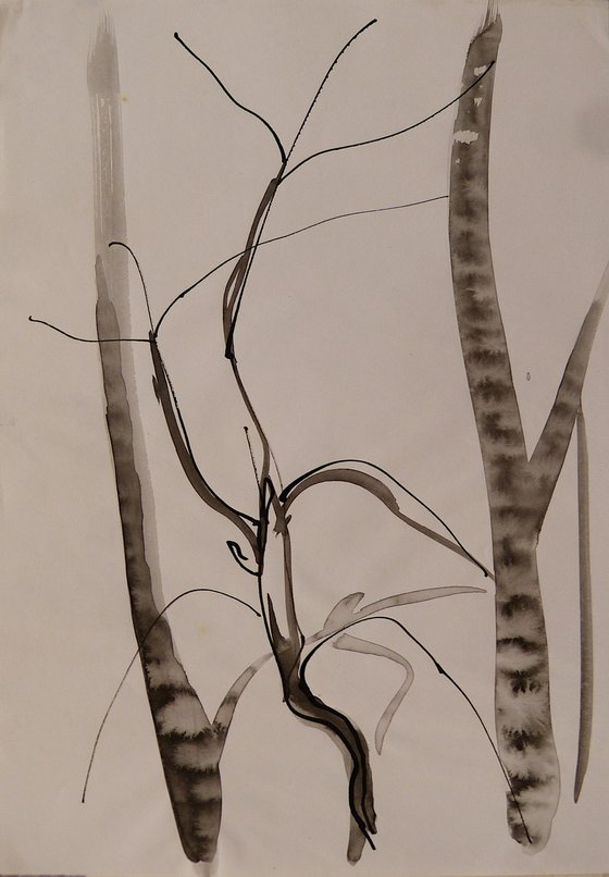 The Tree, original drawing from nature 21x29 cm