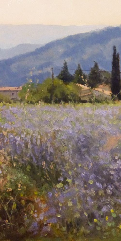 Lavender at Sisteron by Pascal Giroud