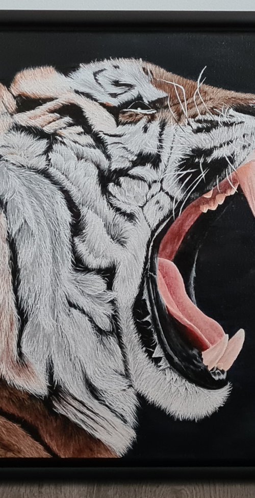 Tiger by Denise Martens