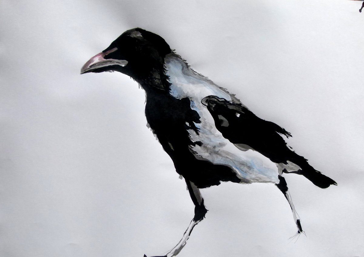 Crow by Soso Kumsiashvili