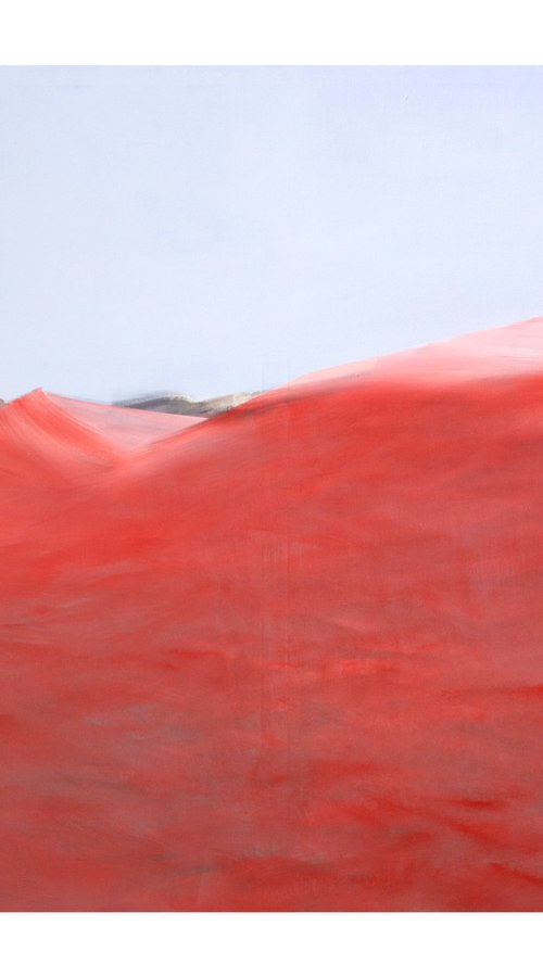 Red Field by Katrin Roth