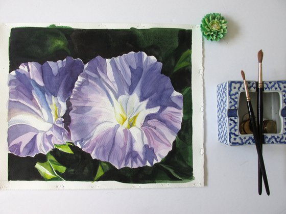 double morning glory watercolor