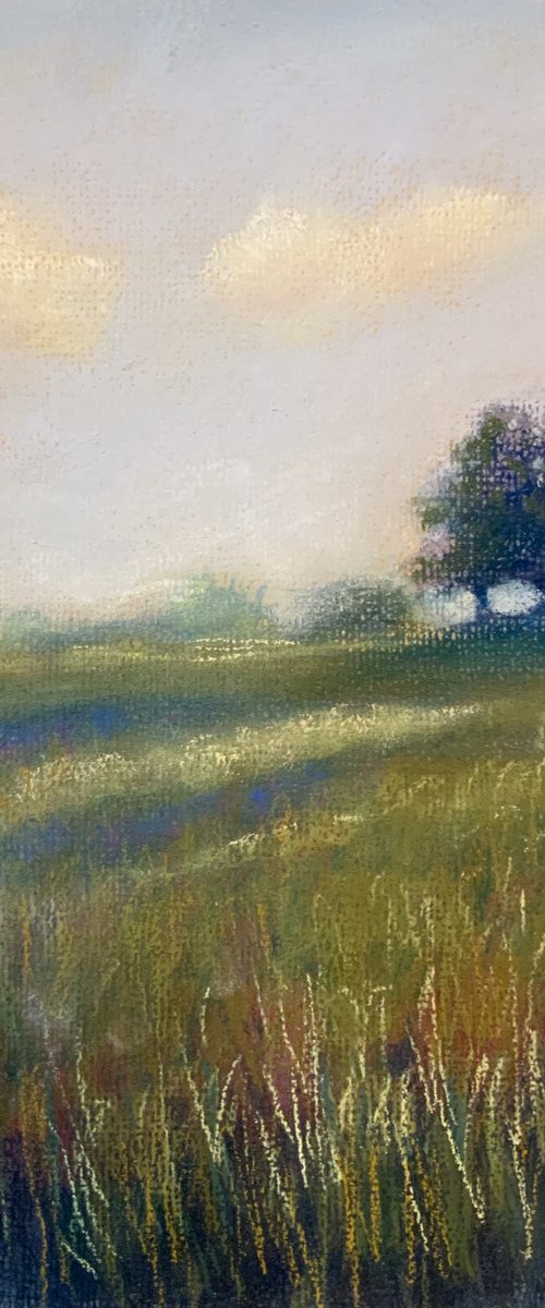 Daydreaming by Jessica Davidson
