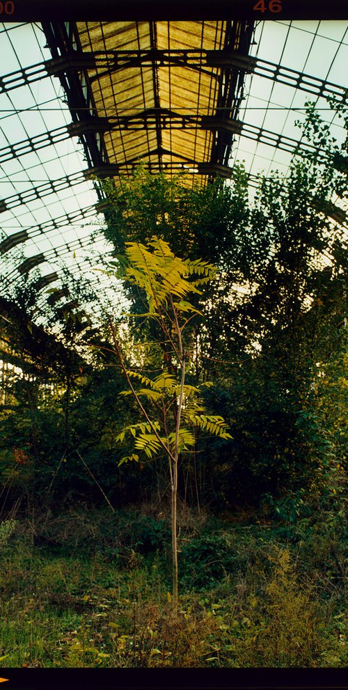 Industrial Jungle, Lambrate, Milan by Richard Heeps