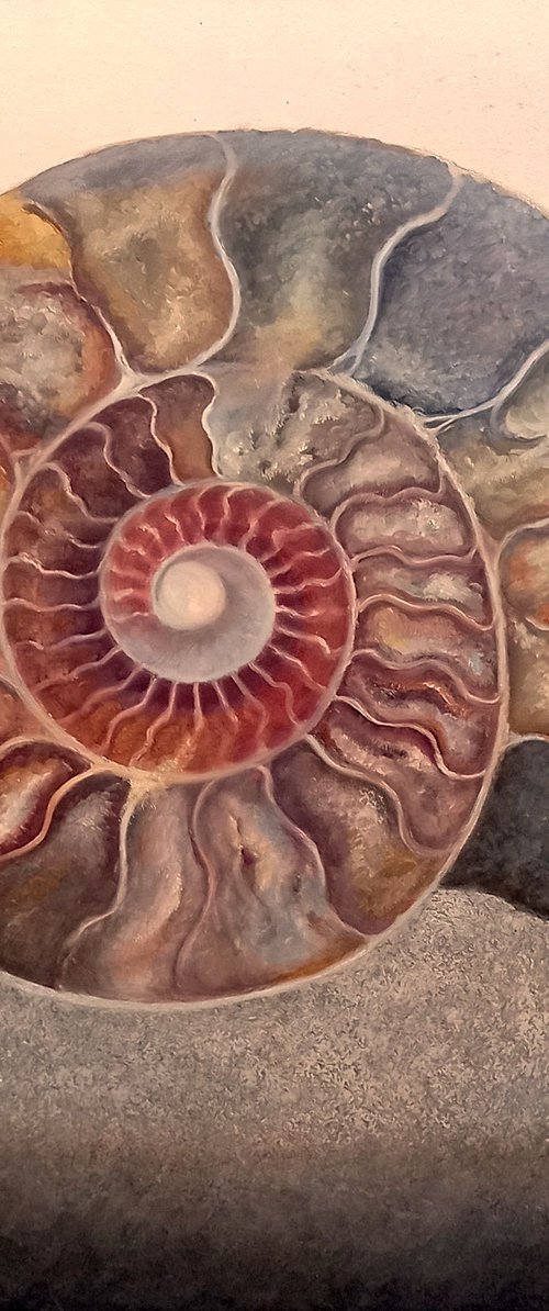 Silvery Ammonite by Lee Campbell