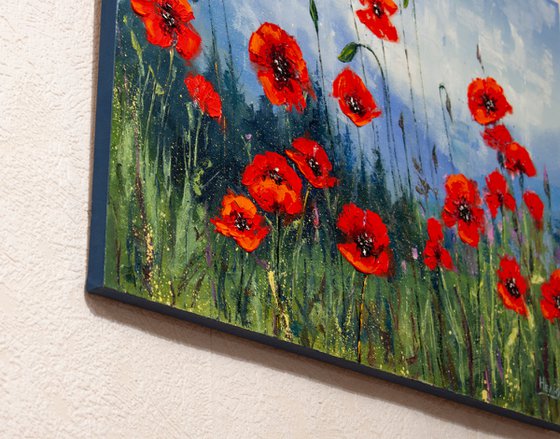 Red flowers , poppies